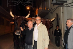 Calatafimi - Segesta500.JPG